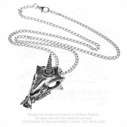 Alchemy Gothic P777 Uniskull pendant necklace