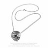 Alchemy Gothic P886 Remains necklace