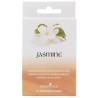 Elements Incense Cones - Jasmine (15 cones)