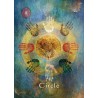 Mystical Shaman Pocket Oracle Cards: A 64-Card Deck and Guidebook