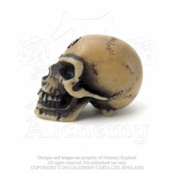 Alchemy Gothic V2 Lapillus Worry Skull - miniature resin ornament