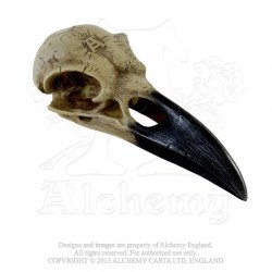 Alchemy Gothic V16 Corvus Alchemica bird skull ornament