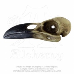 Alchemy Gothic V16 Corvus Alchemica bird skull ornament