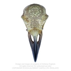 Alchemy Gothic V67 Omega Raven Skull
