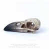 Alchemy Gothic V66 Reliquary Raven Skull