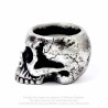 Alchemy Gothic V74 Skull Tea-Light Candle Holder