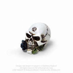 Alchemy Gothic VM6 Alchemist Skull: Miniature resin ornament