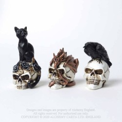 Alchemy Gothic VM7 Raven Skull: Miniature resin ornament