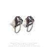 Alchemy Gothic E433 Witches Heart earrings (pair)