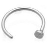 Nose Ring - Stainless Steel - (20G) 0.8mm x 10mm (single)