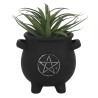 Pentagram Cauldron Plant Pot (plant not included)
