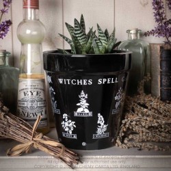 Alchemy Gothic GPP6 Witches Spell Garden Plant Pot