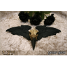 Alchemy Gothic V52 Ravenger -- bird skull wall resin plaque