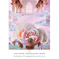 Work Your Light Oracle Cards
