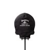 New Release! Alchemy Gothic V121 Voodoo Skull - Ornament & Wall Decoration