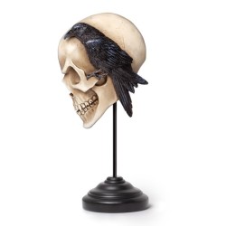 Alchemy Gothic V122 Nevermore Skull - Ornament & Wall Decoration