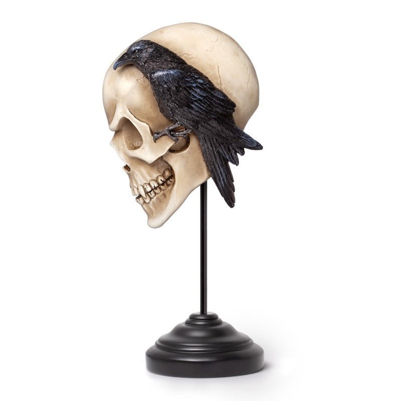 New Release! Alchemy Gothic V122 Nevermore Skull - Ornament & Wall Decoration