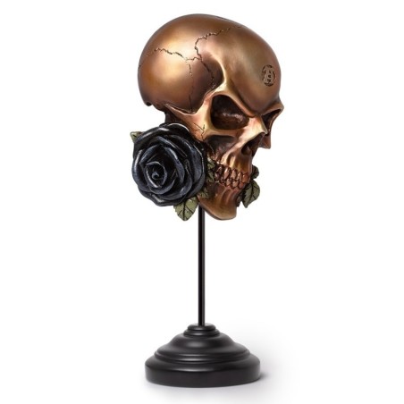 New Release! Alchemy Gothic V124 Alchemist Askance - Ornament & Wall Decoration