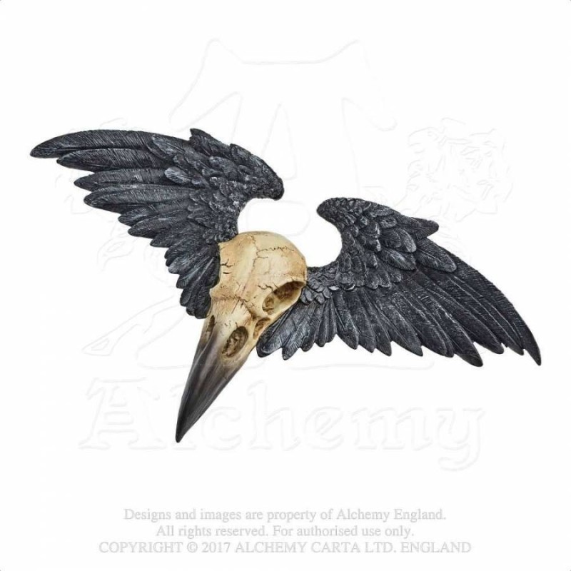 Alchemy Gothic V52 Ravenger -- bird skull wall resin plaque