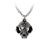 Alchemy Gothic P938 My Forever Friend -- cat skull pentagram